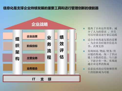 信息系统项目咨询方法论 从策略到落地的全面指南
